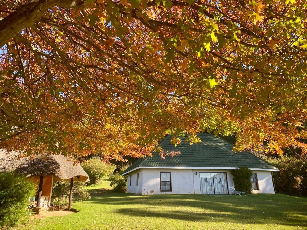 Pear Tree Cottage-Underberg Exterior foto