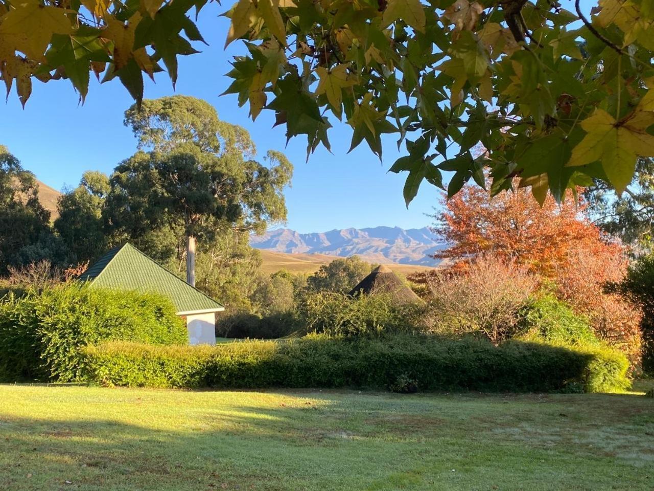 Pear Tree Cottage-Underberg Exterior foto